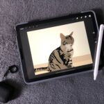 iPadで手軽にNFTアートを作る！作成方法と作品作りのコツとは？